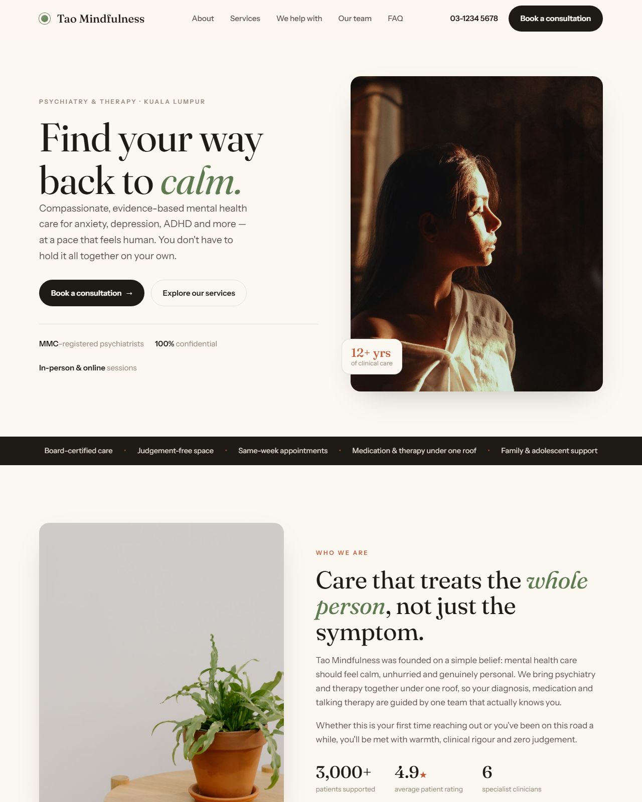 Tao Mindfulness — website screenshot
